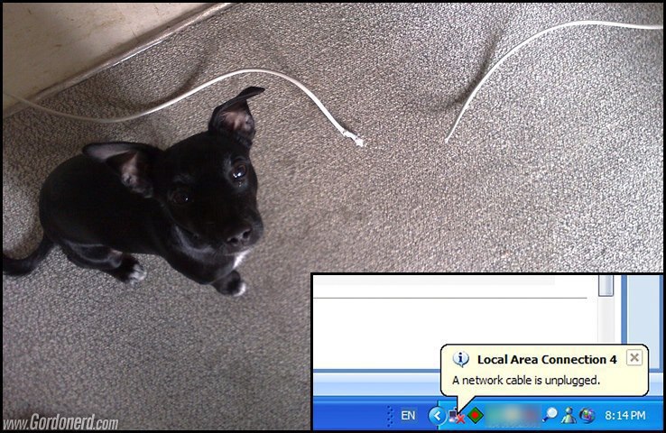 Programming Meme #821