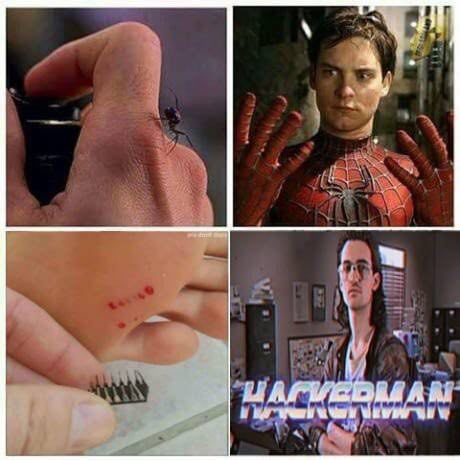 Programming Meme #838