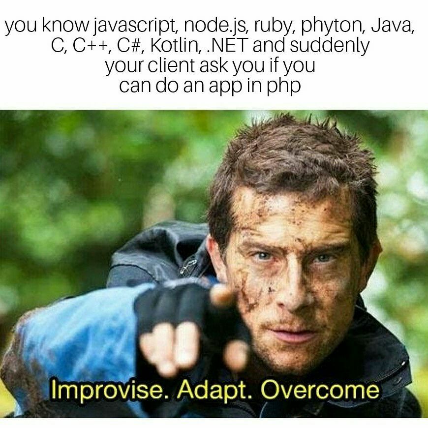Programming Meme #869