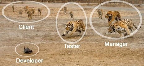 Programming Meme #893