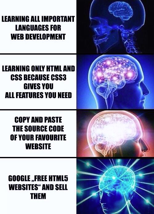 Programming Meme #896