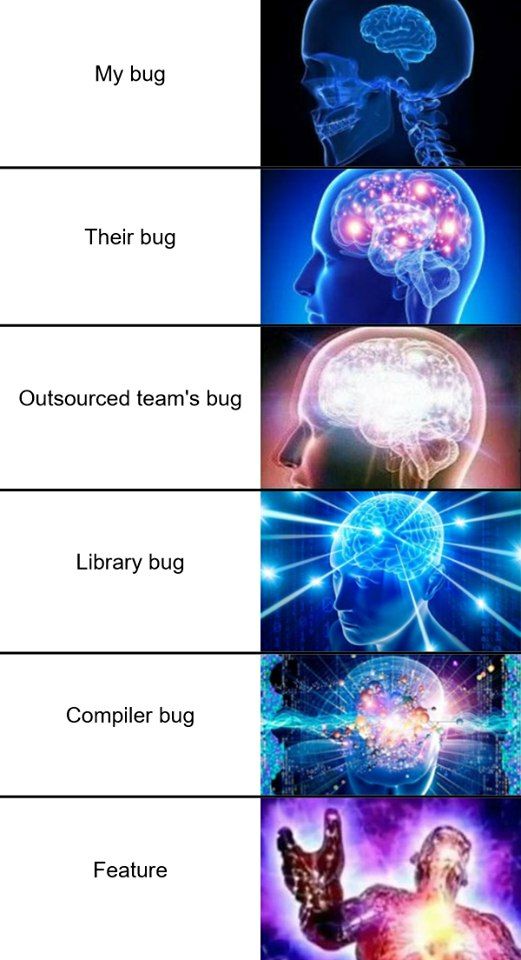 Programming Meme #907
