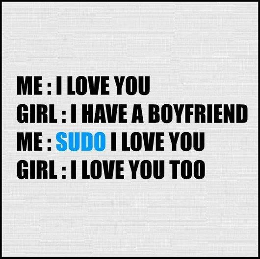 Programming Meme #913