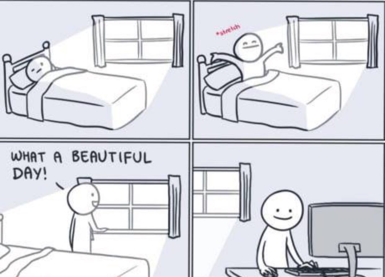 Programming Meme #919