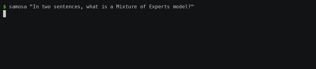 Samosa Chat answering a question in the terminal