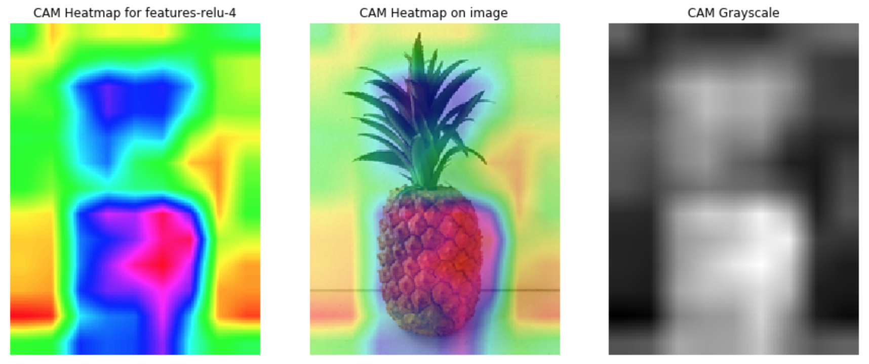 gradcam-relulayer4-interpolation-pineapple