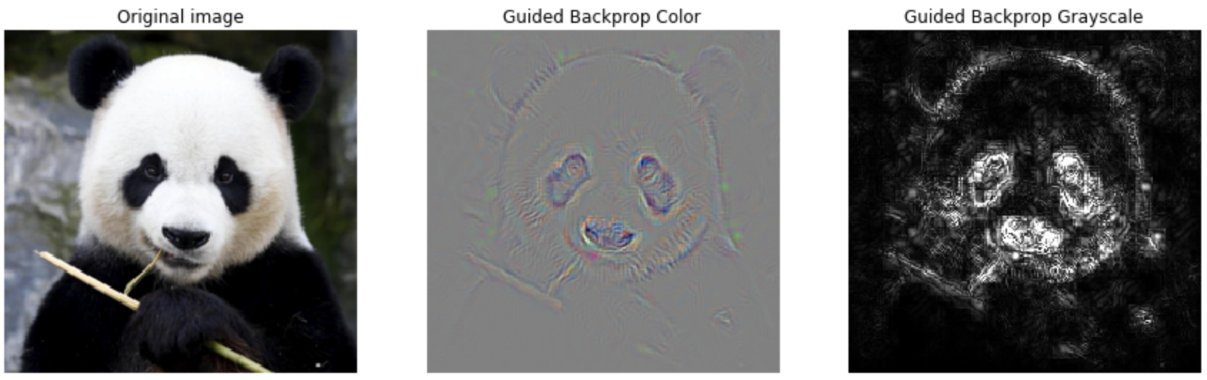 guided-backprop-panda