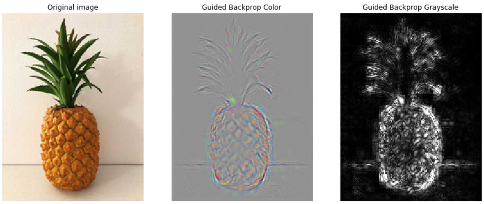 guided-backprop-pineapple