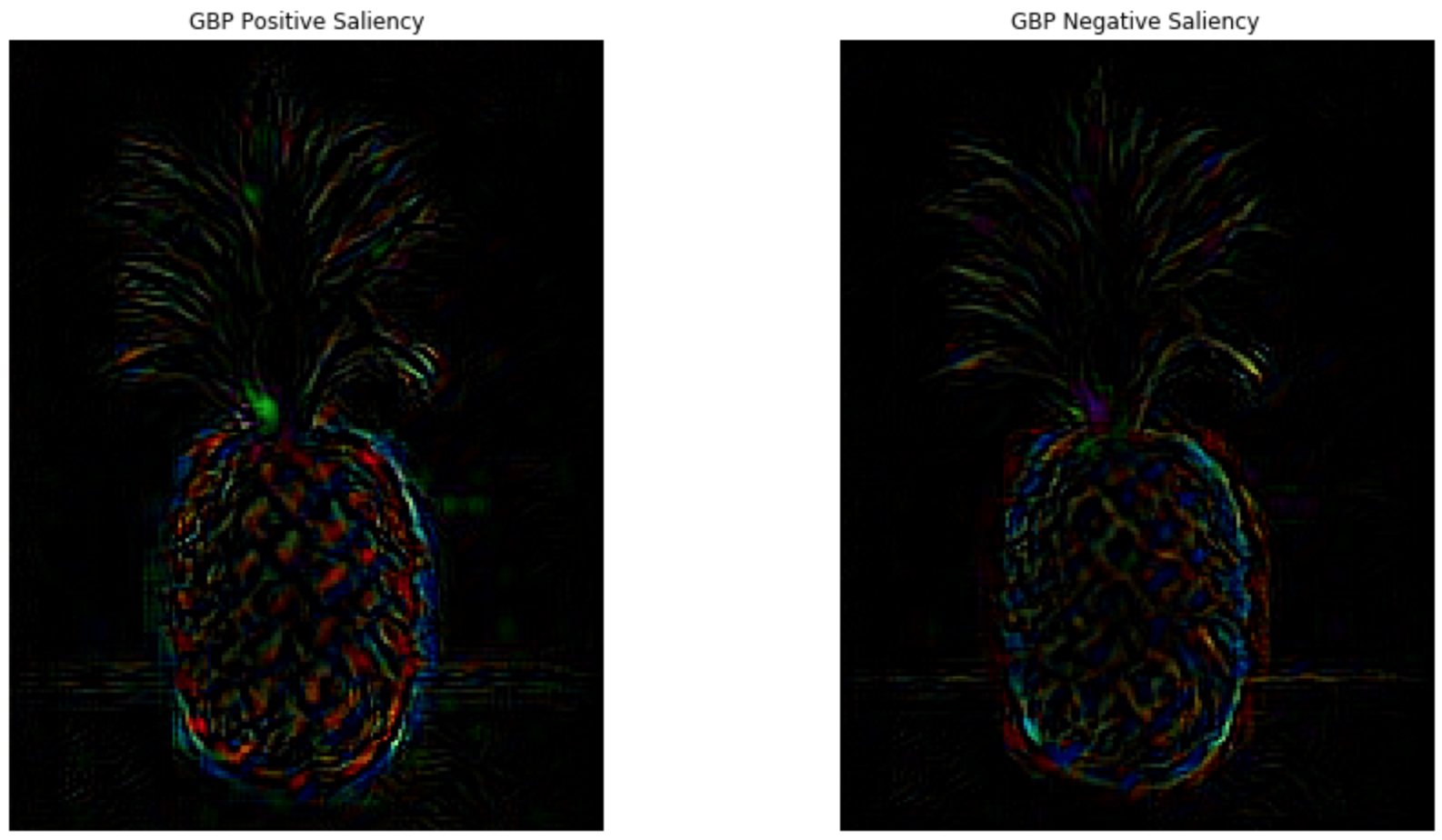 guided-backprop-positive-negative-saliency-pineapple