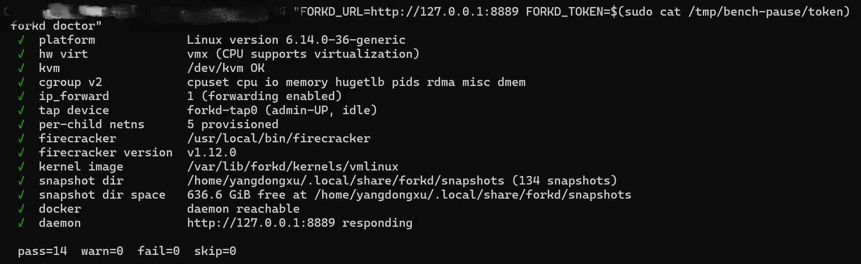 forkd doctor — 14 checks pass on a configured host