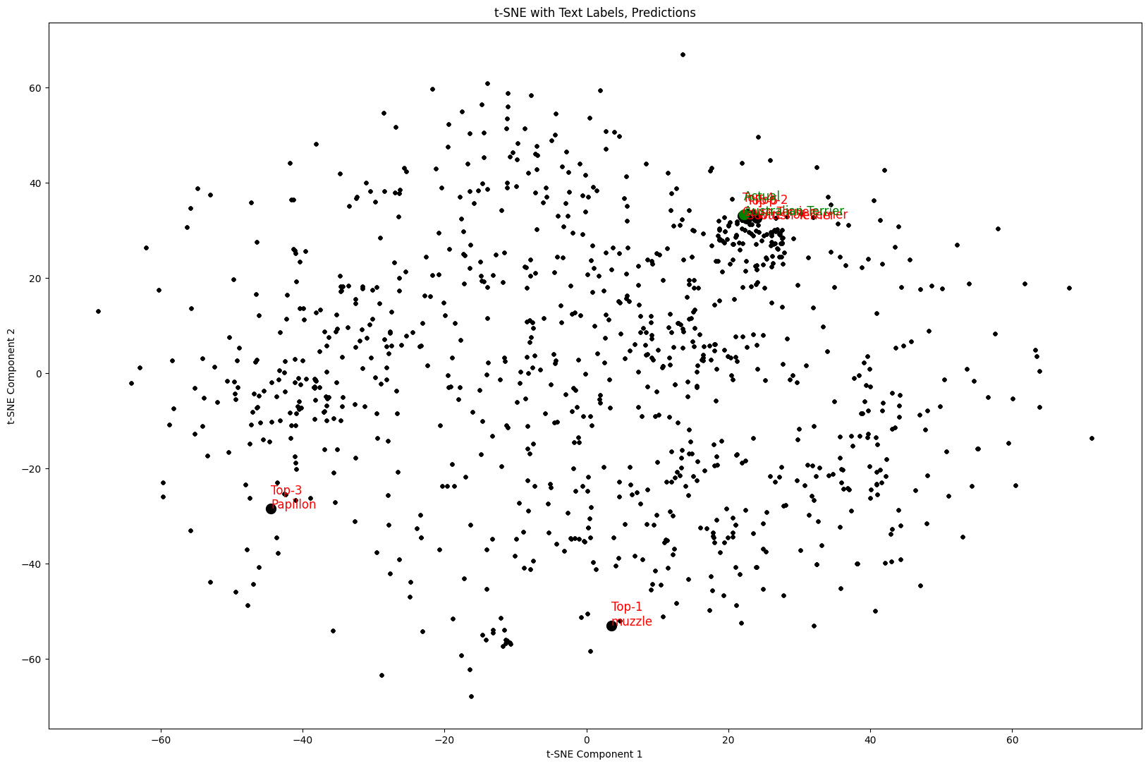 Top-k Predictions Image Embedding Visualization