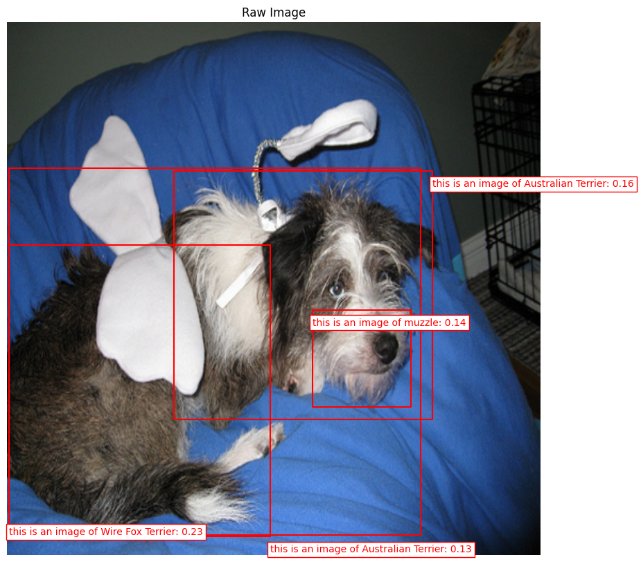 Zero-shot Object Detection Model Output