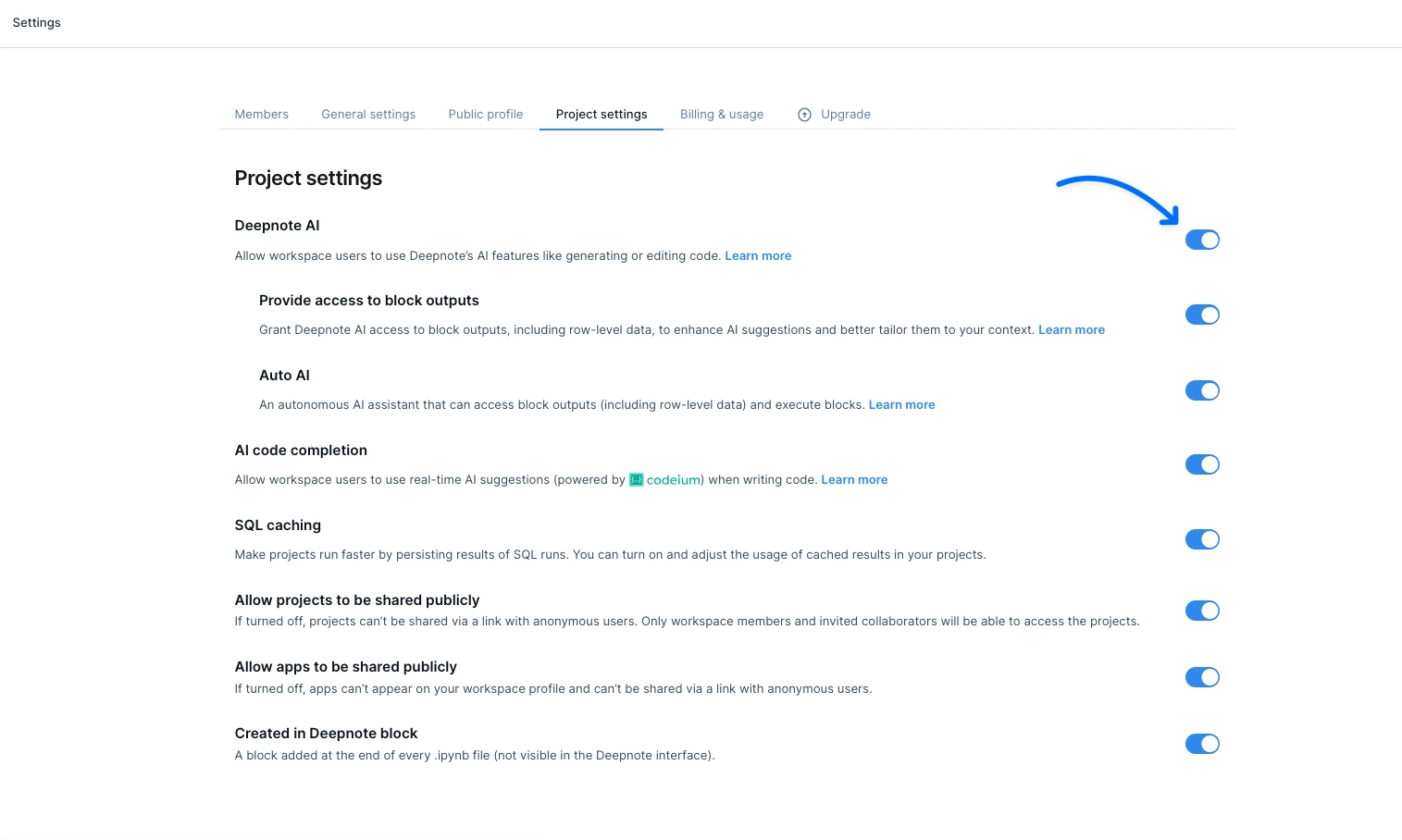 deepnote ai main settings.png