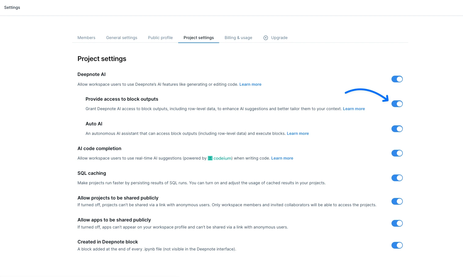 deepnote ai outputs setting.png