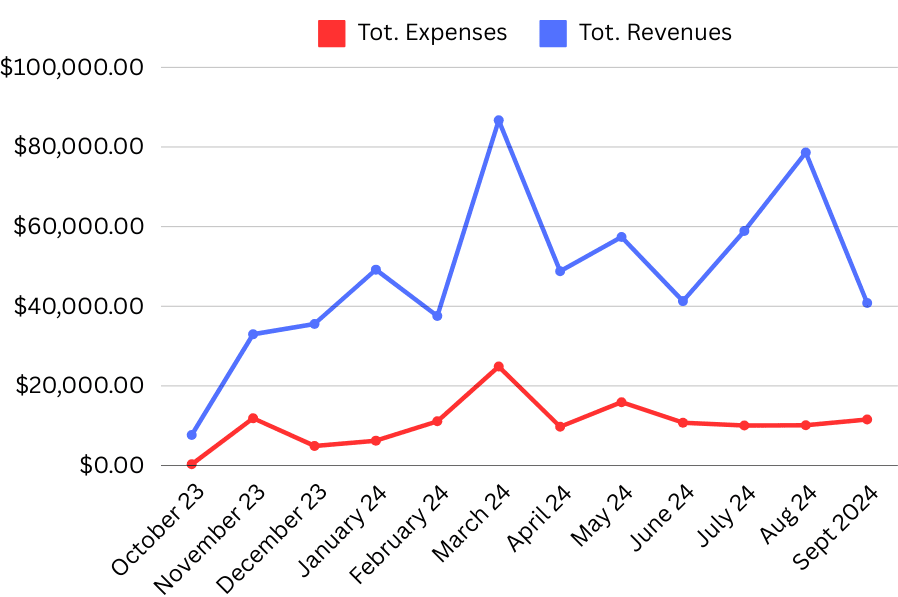 tdc-year1-monthly-revenues-expenses