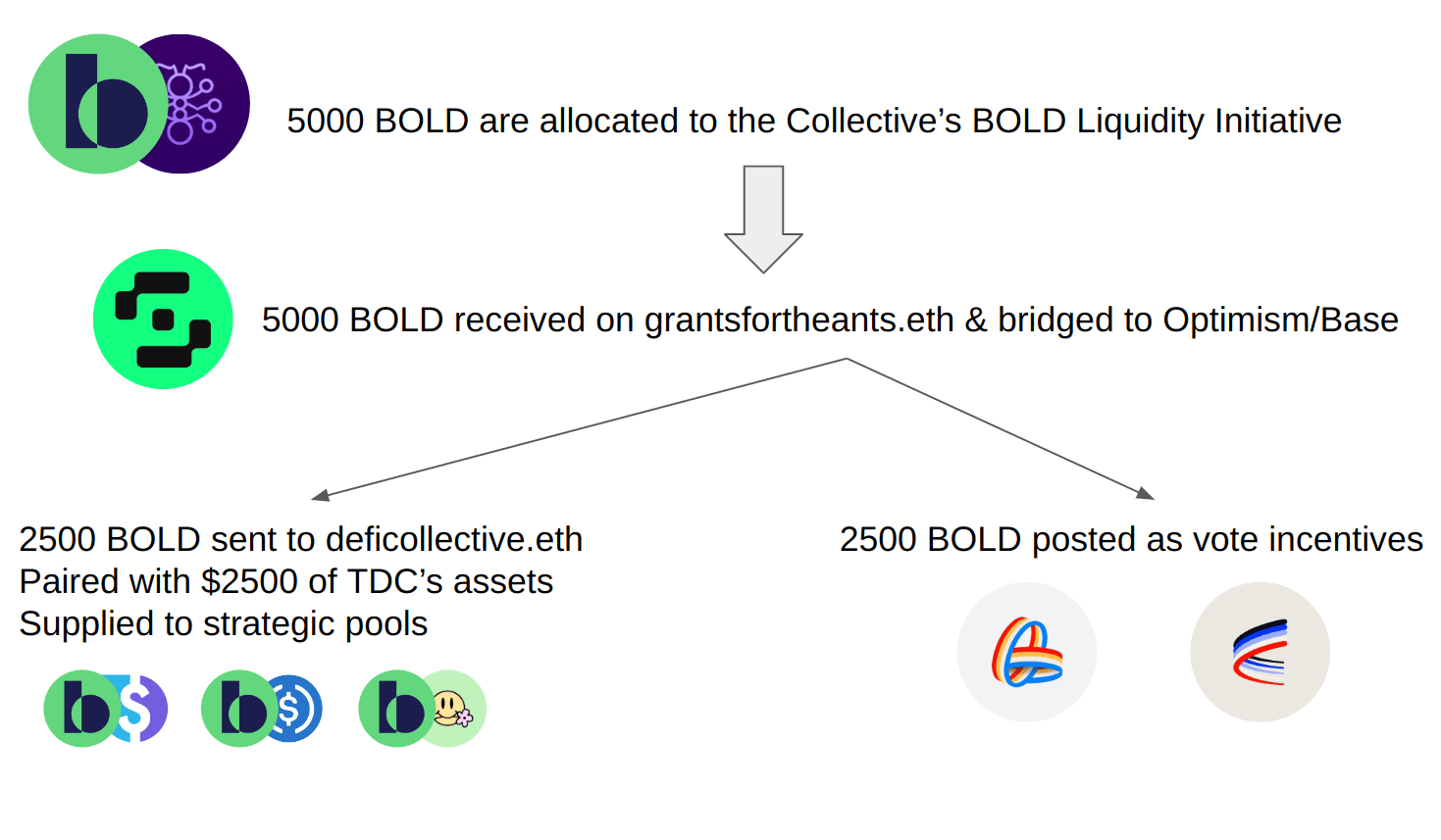 bold-strategy-overview