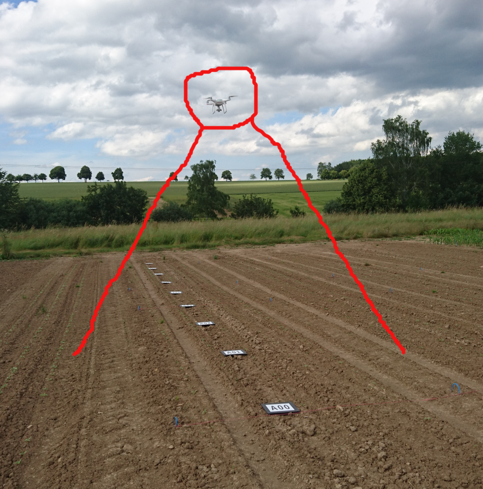 dji_sugarbeets_ihingerhof_scaled.png