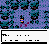 moss-rock