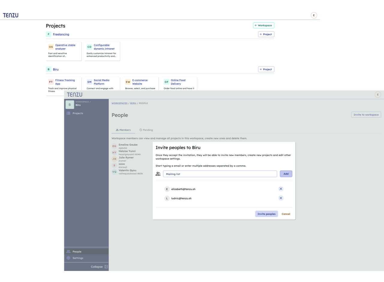 Tenzu overview