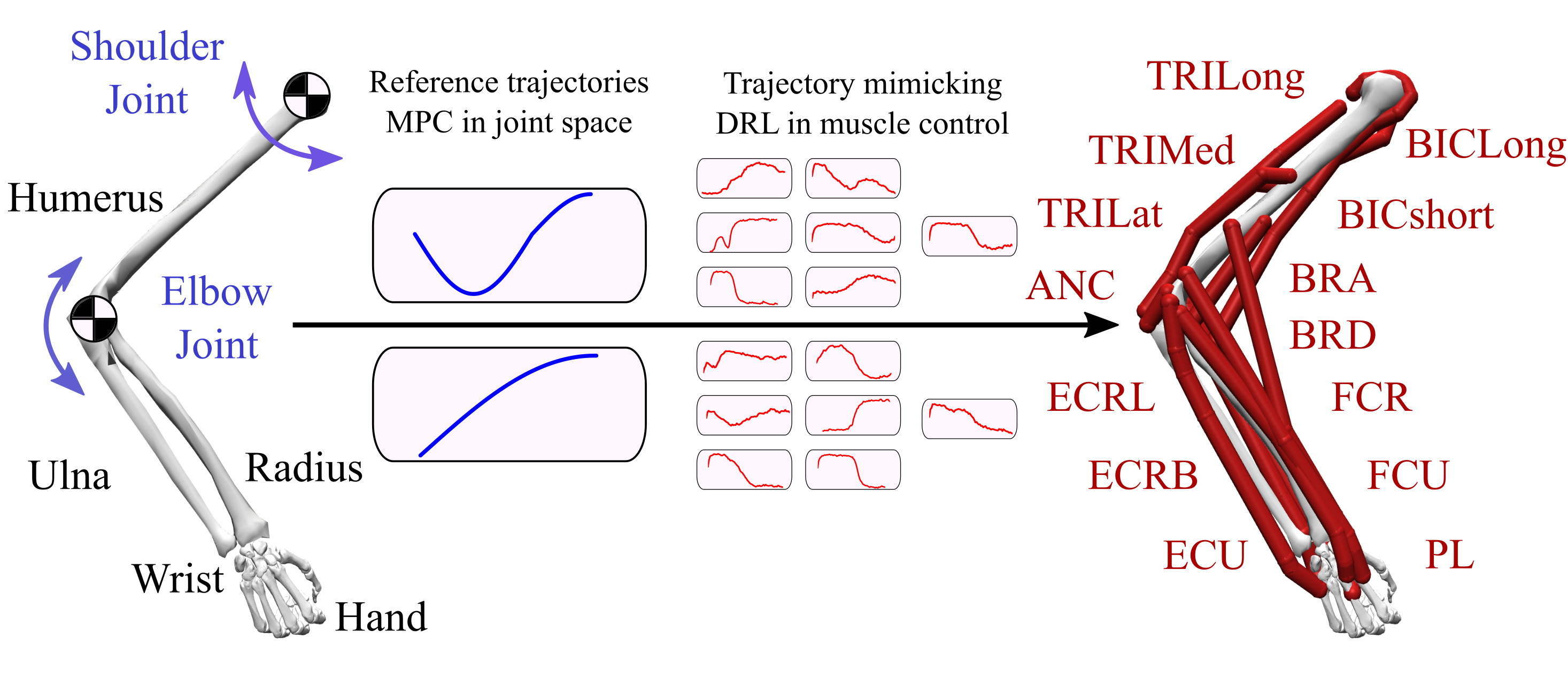 figure_1.png