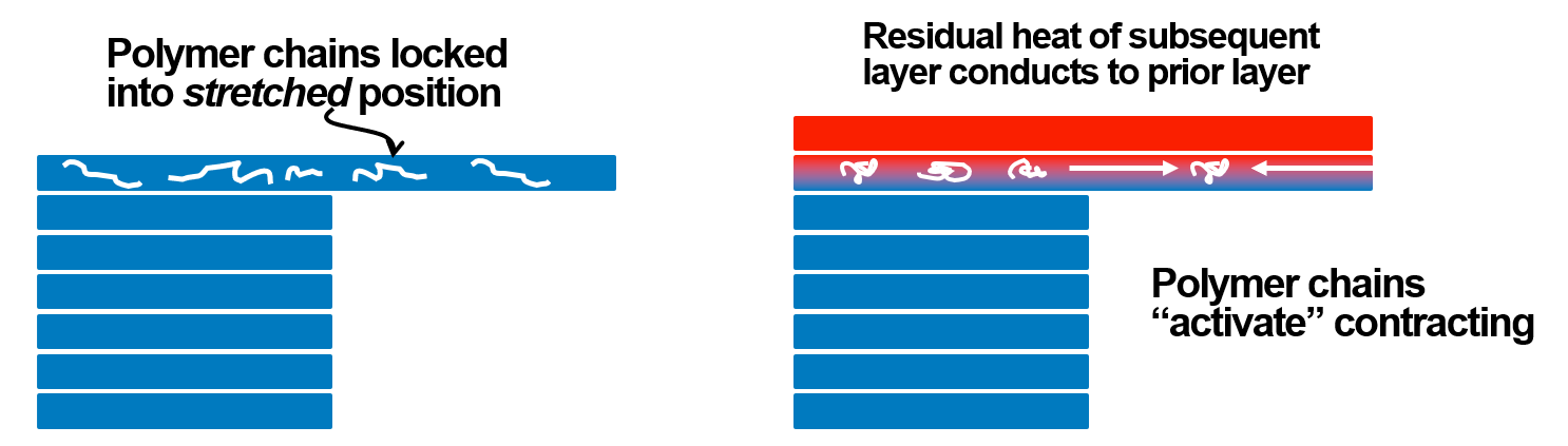 Shape memory effect hypothesis