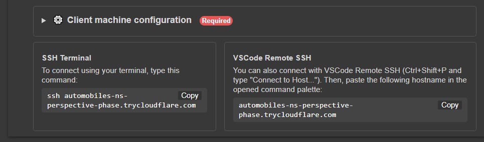 launch_ssh_cloudflared output