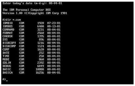 Ms dos