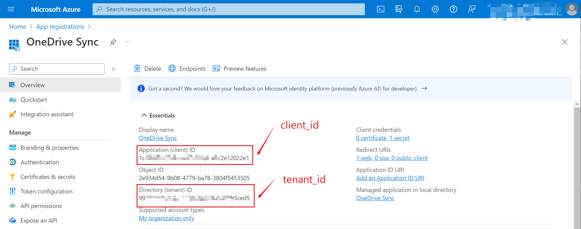 Get application id and tenant id
