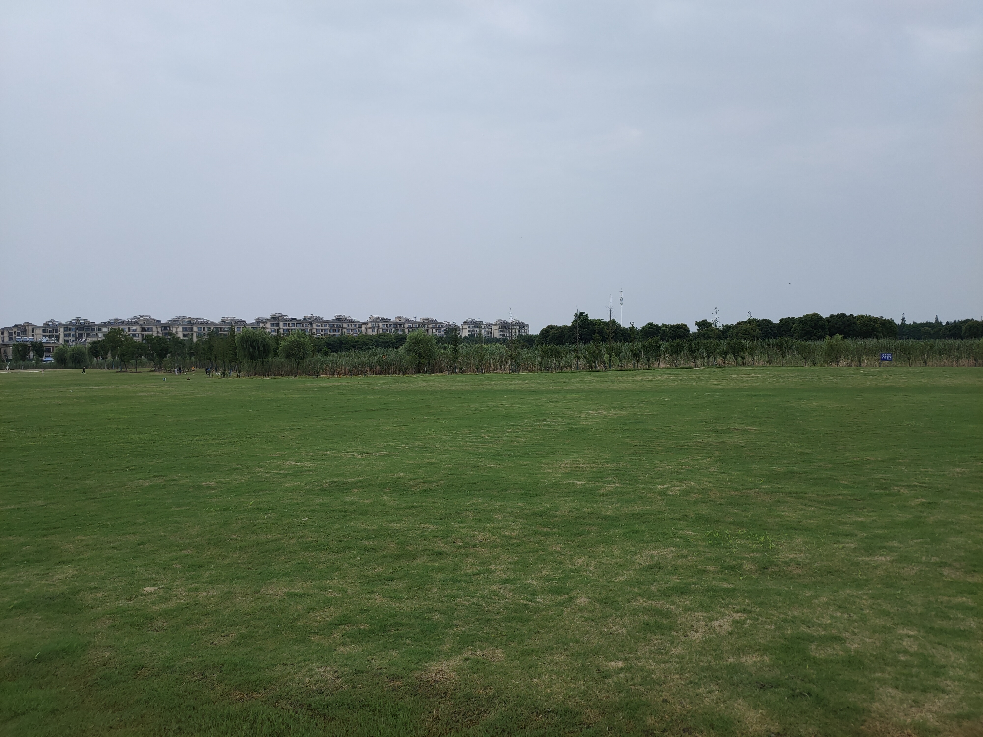 湖边道路另一侧草坪