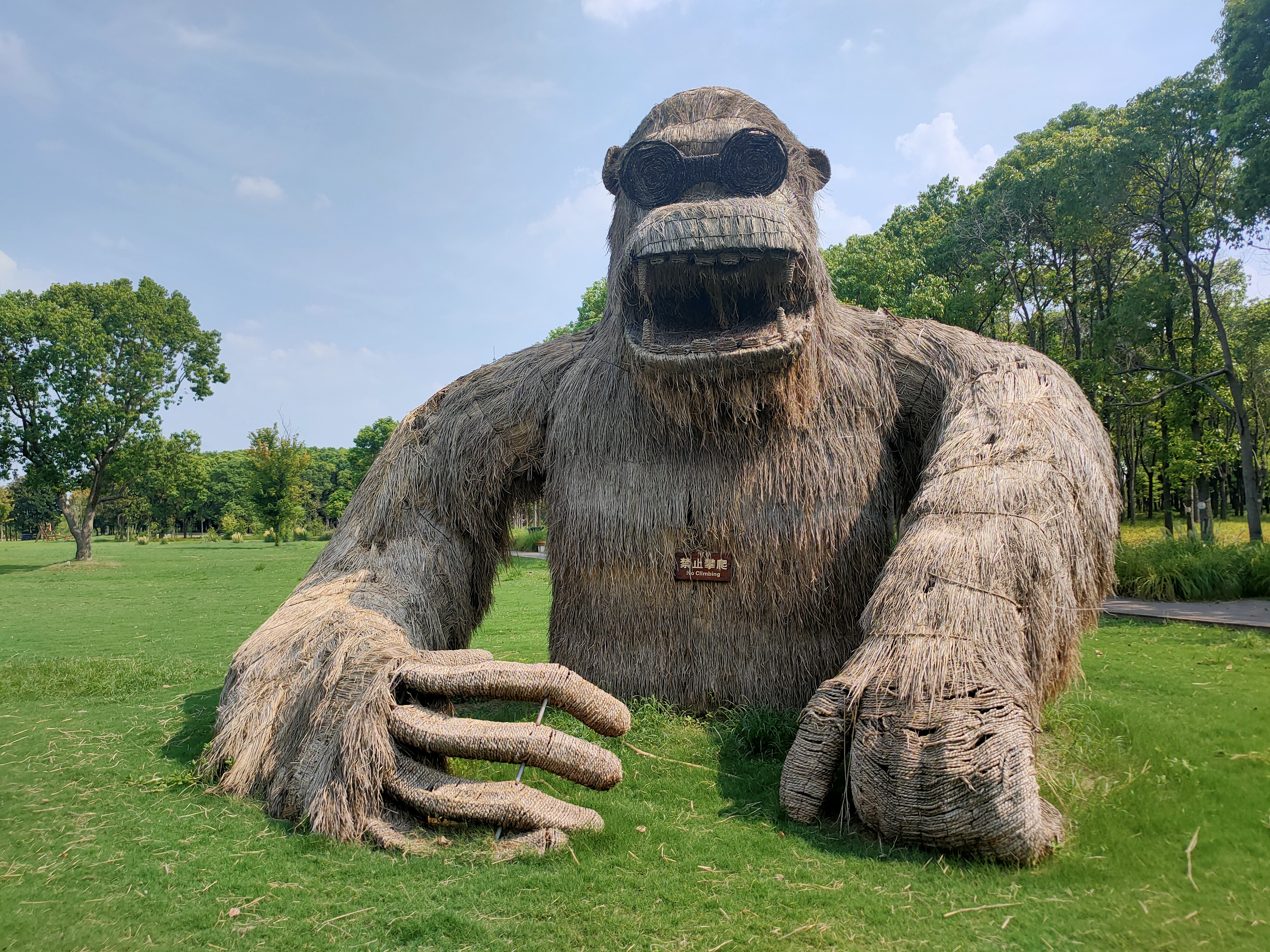 草坪大猩猩草堆