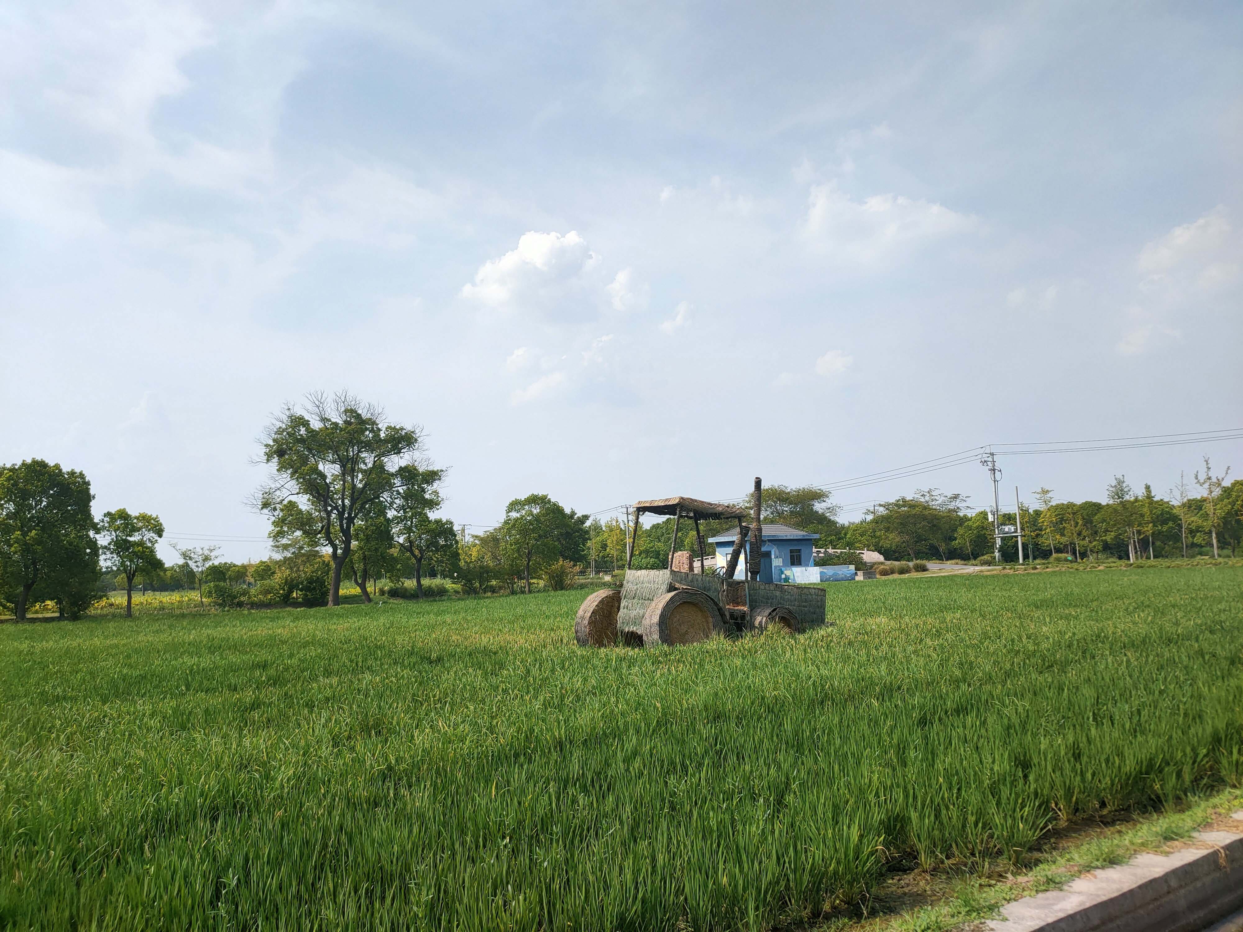 稻田收割机草堆