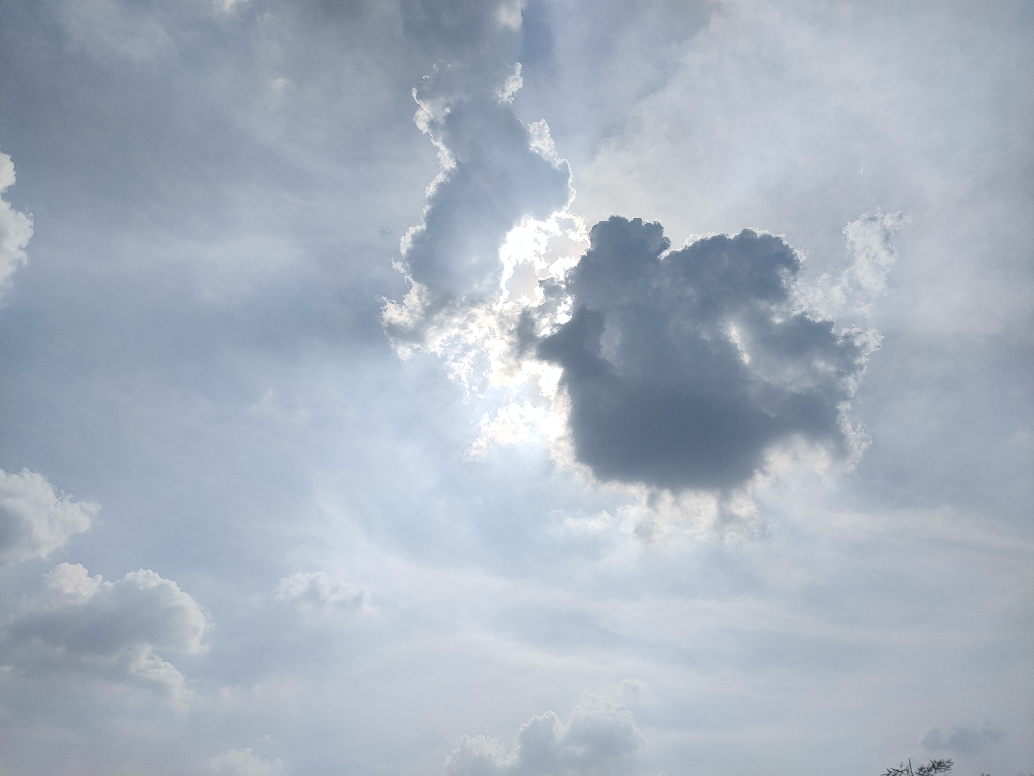 最后附上今日天空