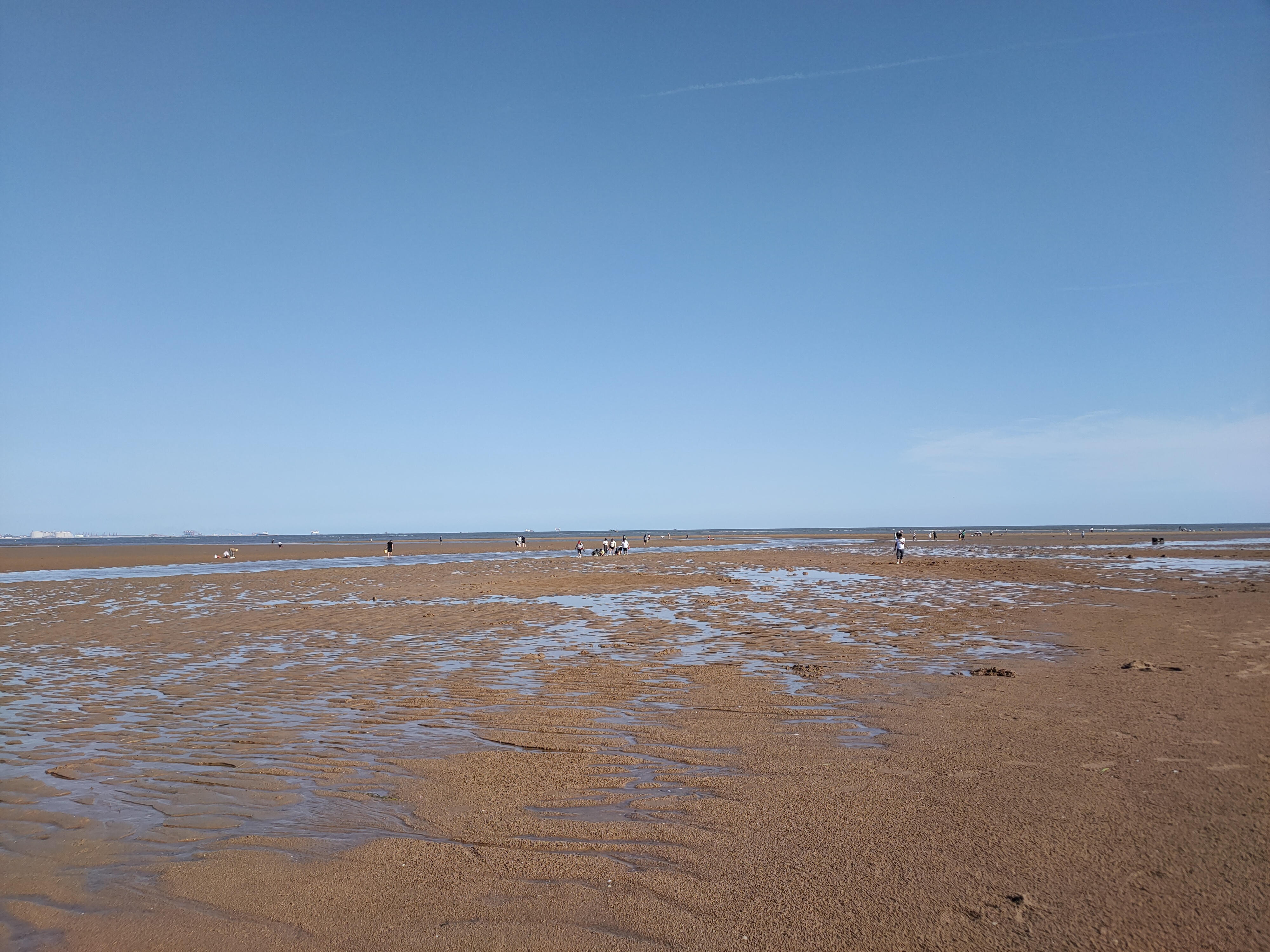 万宝赶海园海滩