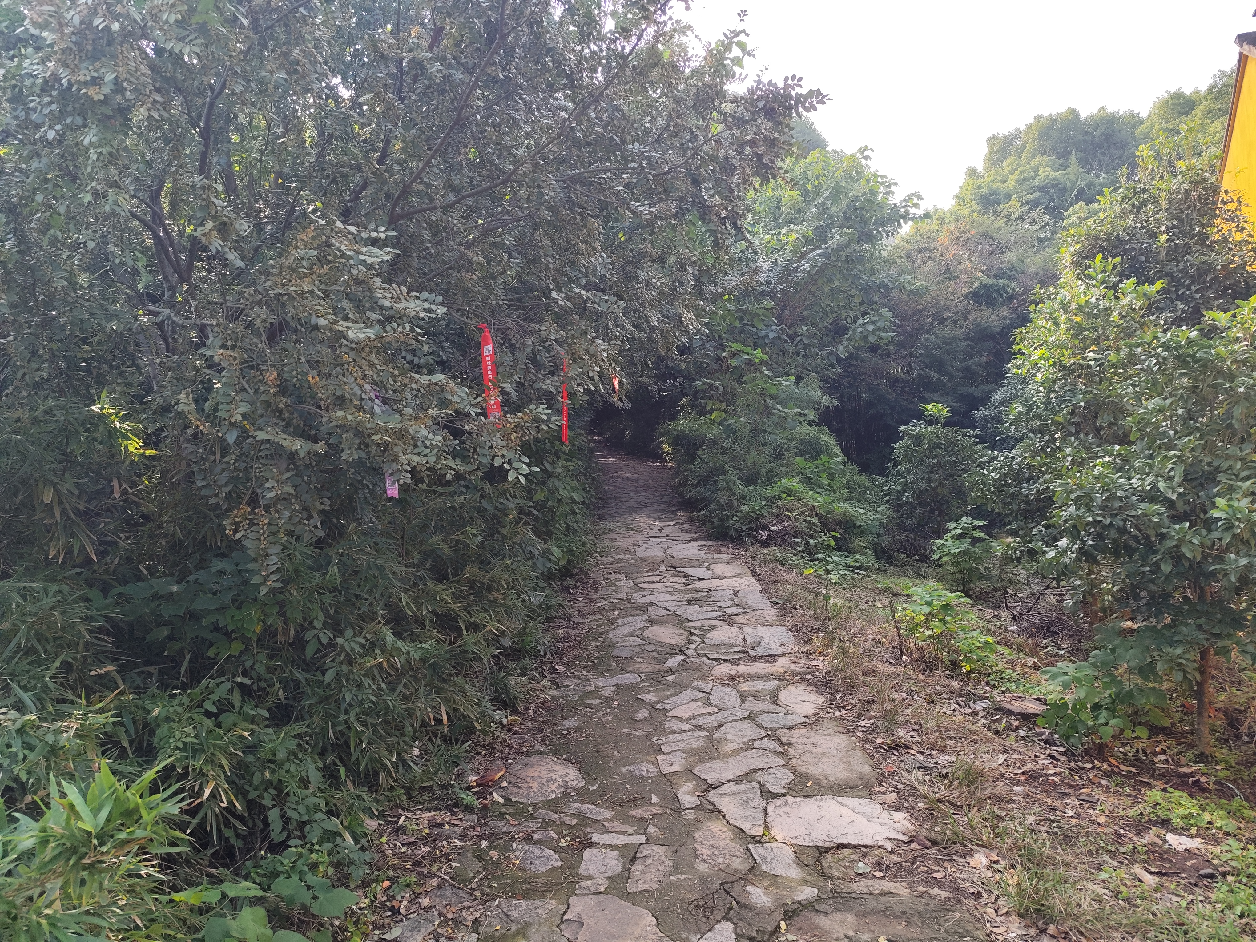步道