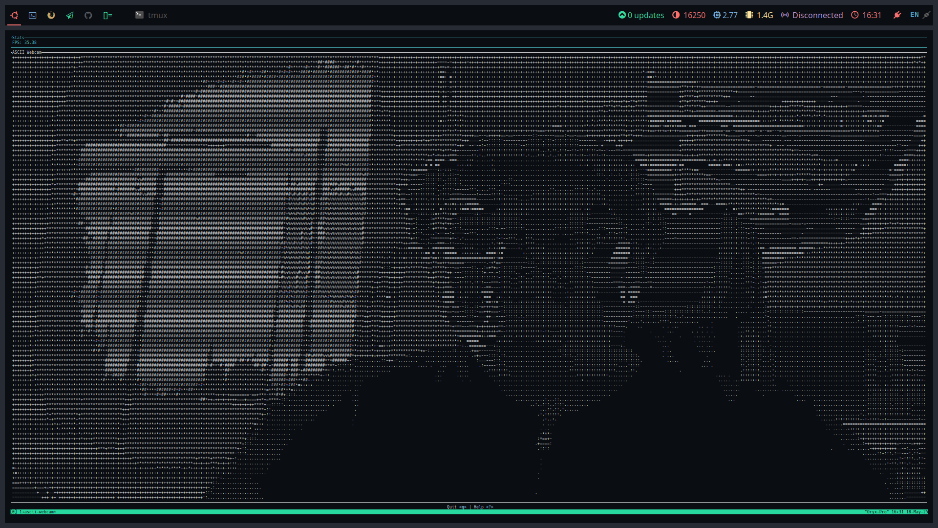 Asciicam