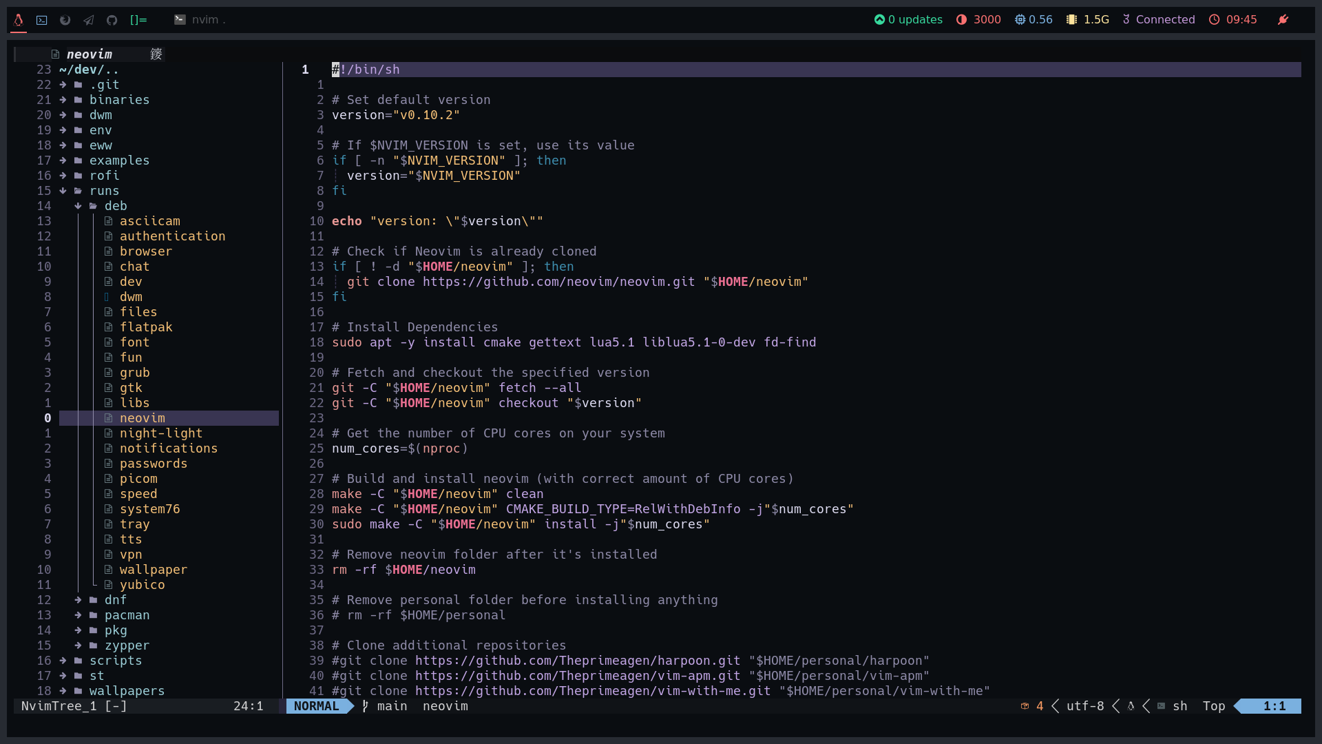 Neovim Setup