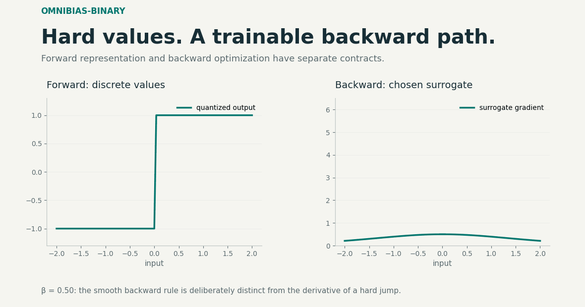 Hard values. A trainable backward path.