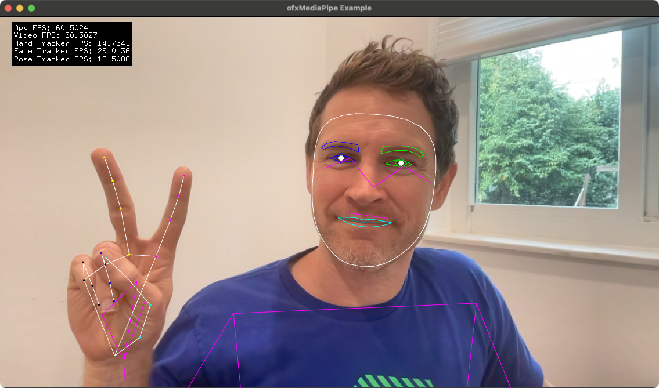 ofxMediaPipe Example