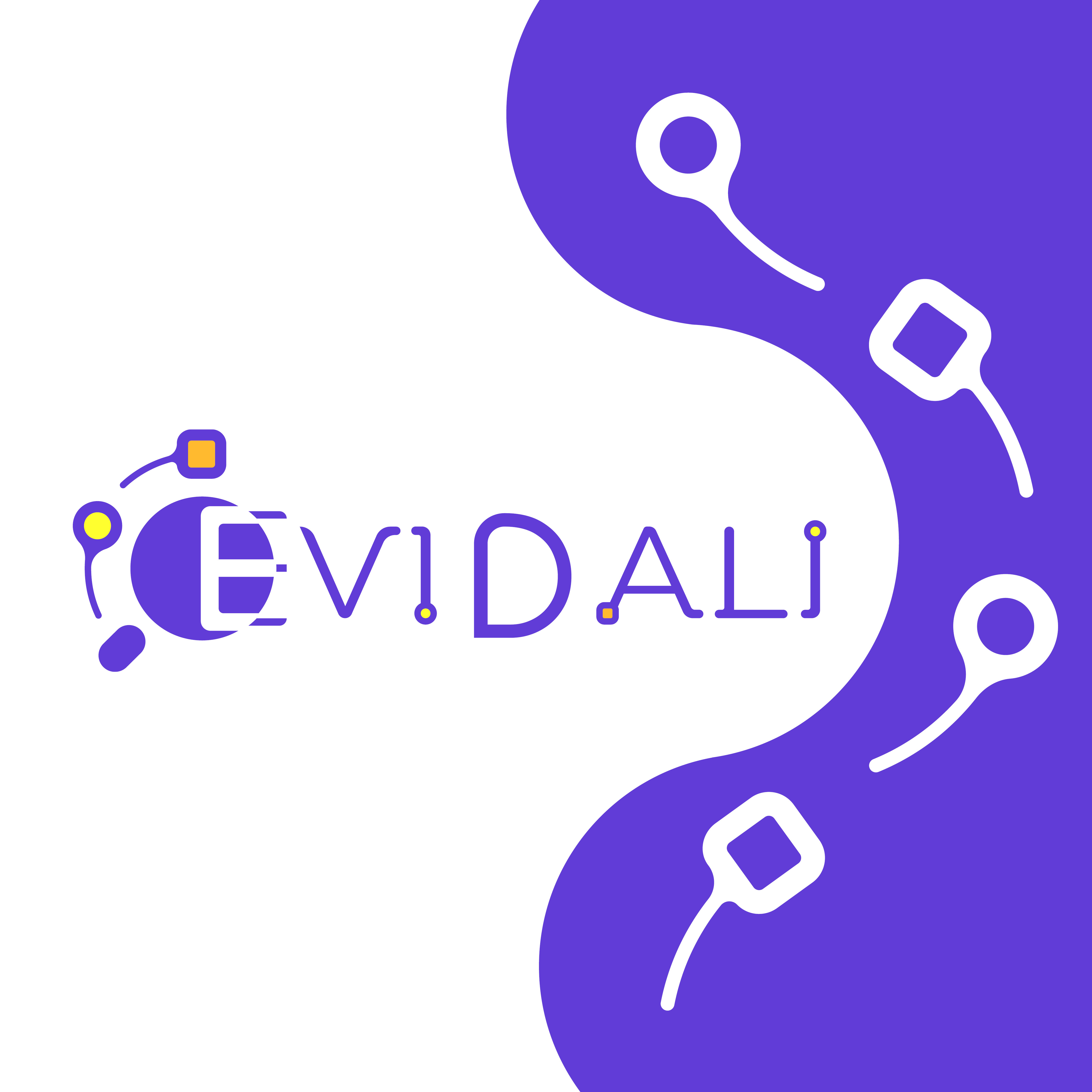 EVIDALI Logo & Visual Identity cover