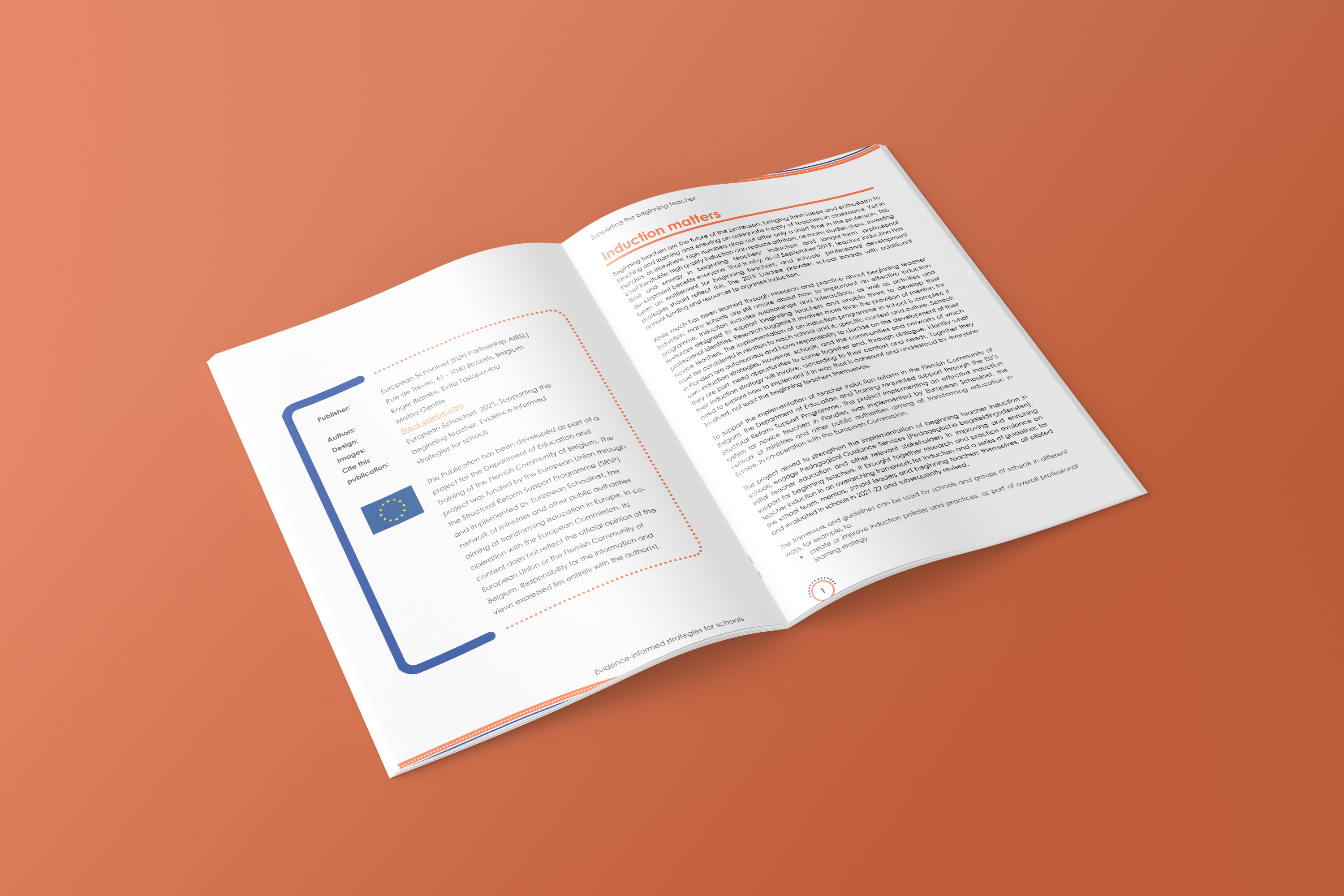 SRSP Flanders Guidelines detail