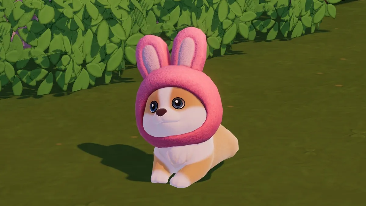 ¡Encuentra a tu mejor amigo hoy!