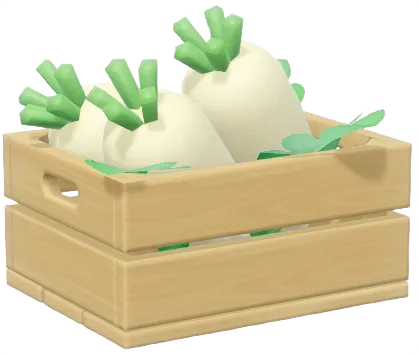Rábano