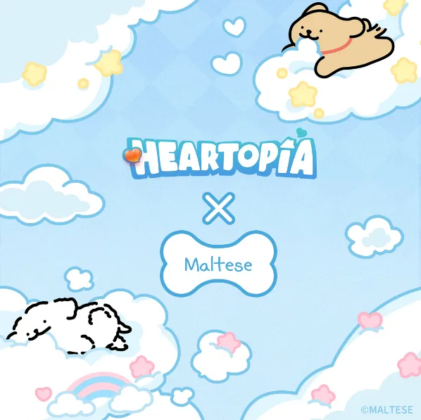 Maltese