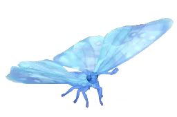 Mariposa morpho sulkowskyi de cristal nevado