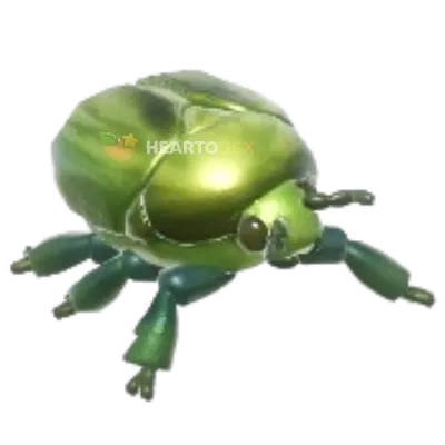 Rhomborhina unicolor