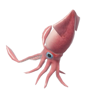 Calamar volador europeo