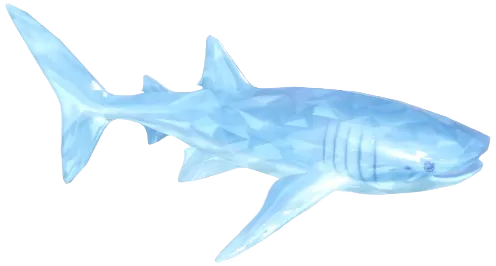 Tiburón Ballena de Cristal Nevado
