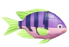 Pez payaso de bloques morado