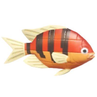 Peixe-palhaço de Blocos Vermelho