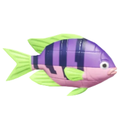 Peixe-palhaço de Blocos Roxo